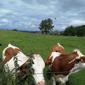 D'hôtes Les Myriades D'or Regny